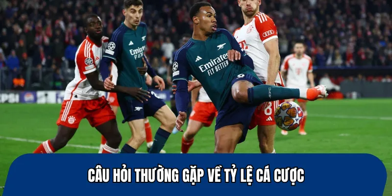 Câu hỏi thường gặp về tỷ lệ cá cược
