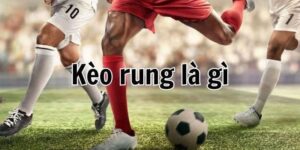 Các loại kèo rung phổ biến và cách chọn tỷ lệ cá cược phù hợp