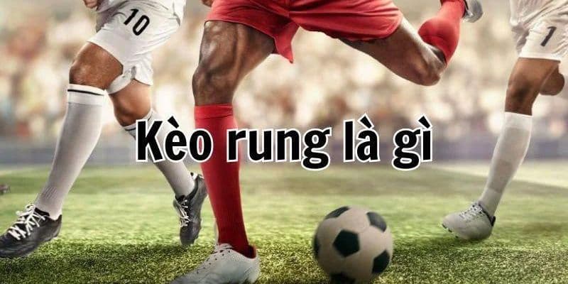 Các loại kèo rung phổ biến và cách chọn tỷ lệ cá cược phù hợp