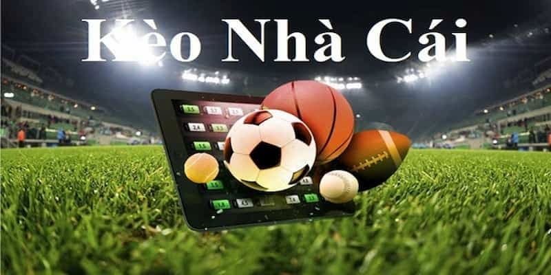 Kèo nhà cái và vai trò trong tỷ lệ cá cược hiện đại