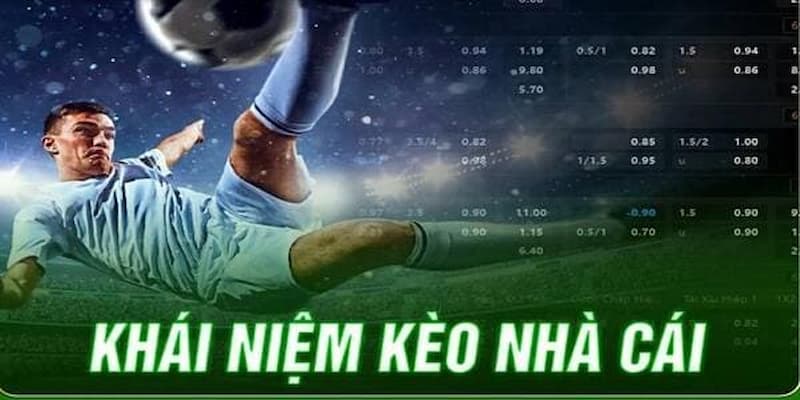 Tại sao cần hiểu rõ về kèo nhà cái trong tỷ lệ cá cược?