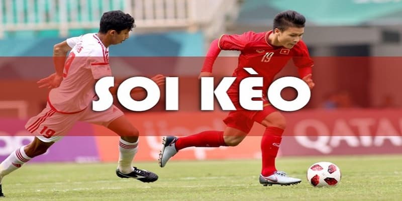 Vì sao việc soi kèo lại quan trọng trong tỷ lệ cá cược?
